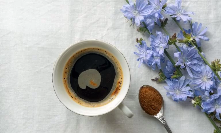 دمنوش کاسنی