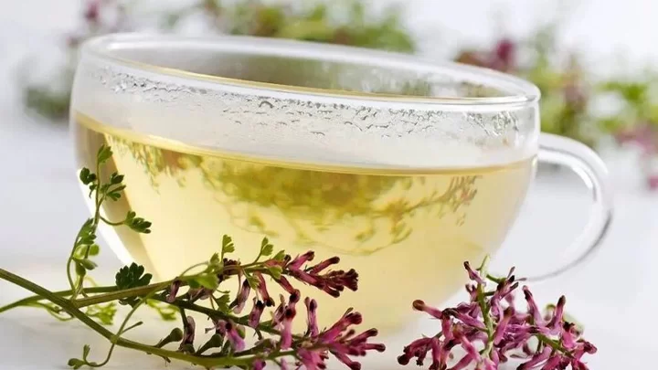 طرز تهیه دمنوش شاتره