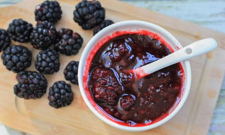 طرز تهیه کمپوت توت سیاه