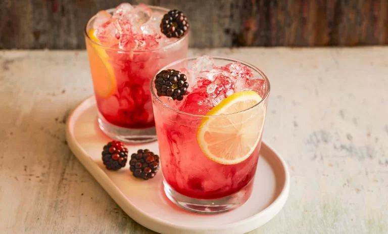 طرز تهیه موهیتو با توت سیاه