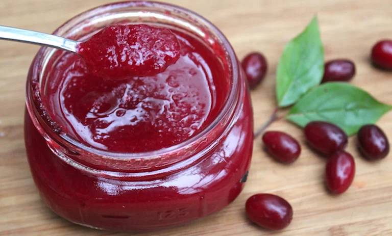 طرز تهیه مربای زغال اخته