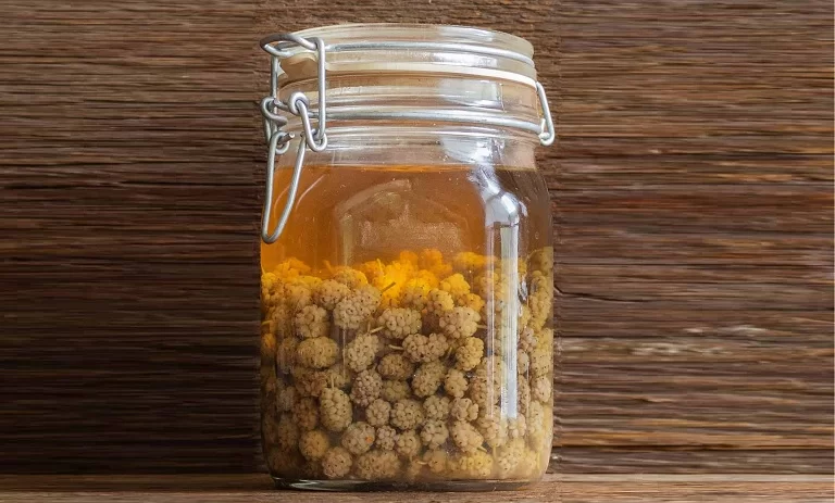 طرز تهیه سرکه توت سفید
