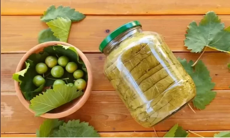 طرز تهیه ترشی برگ مو